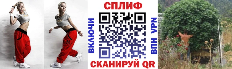 Сколько стоит Плавск Конопля  Псилоцибиновые грибы  ГАШИШ  АМФЕТАМИН  Мефедрон  НБОМе  Кокаин 