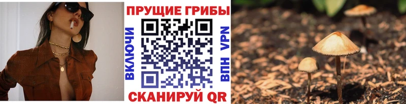 Псилоцибиновые грибы GOLDEN TEACHER  Плавск 